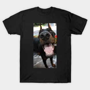 doberman pinscher up close T-Shirt